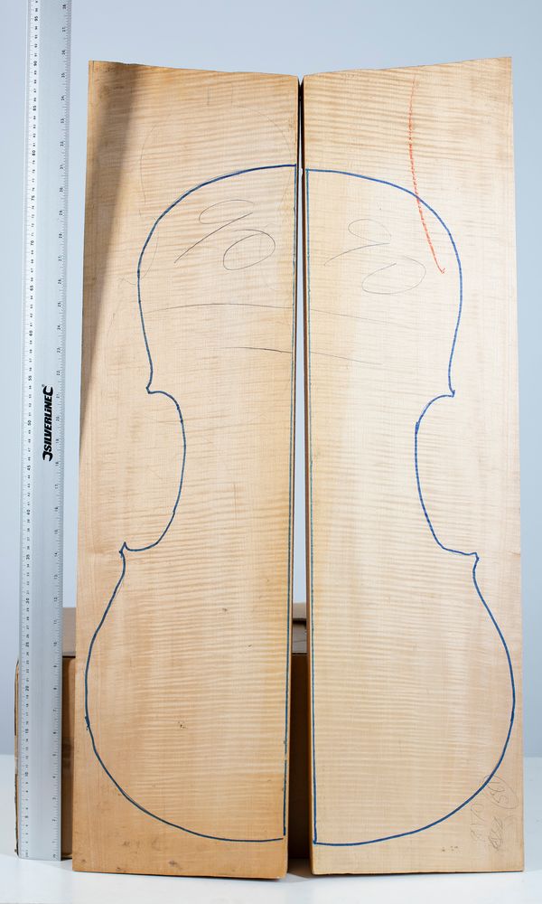A cello back, maple