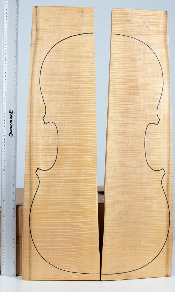 A cello back, maple