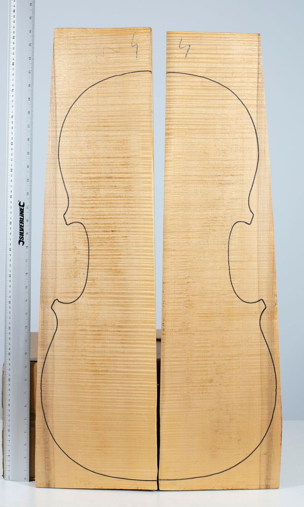 A cello back, maple