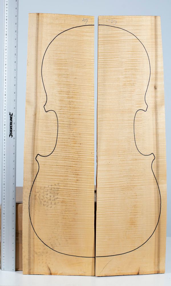 A cello back, maple