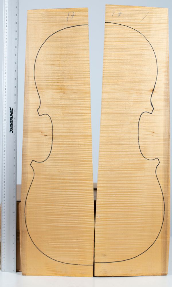 A cello back, maple