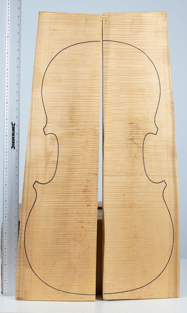 A cello back, maple