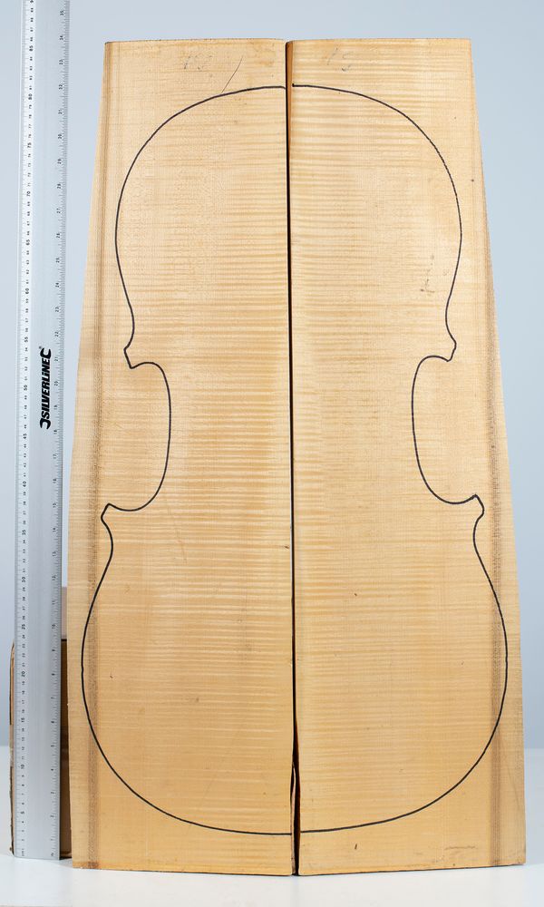 A cello back, maple