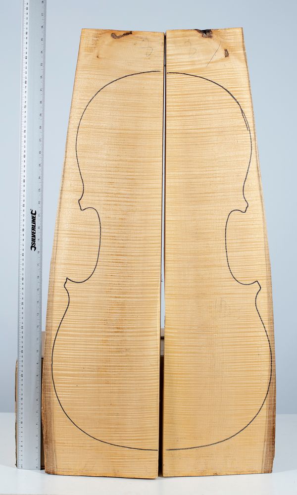 A cello back, maple