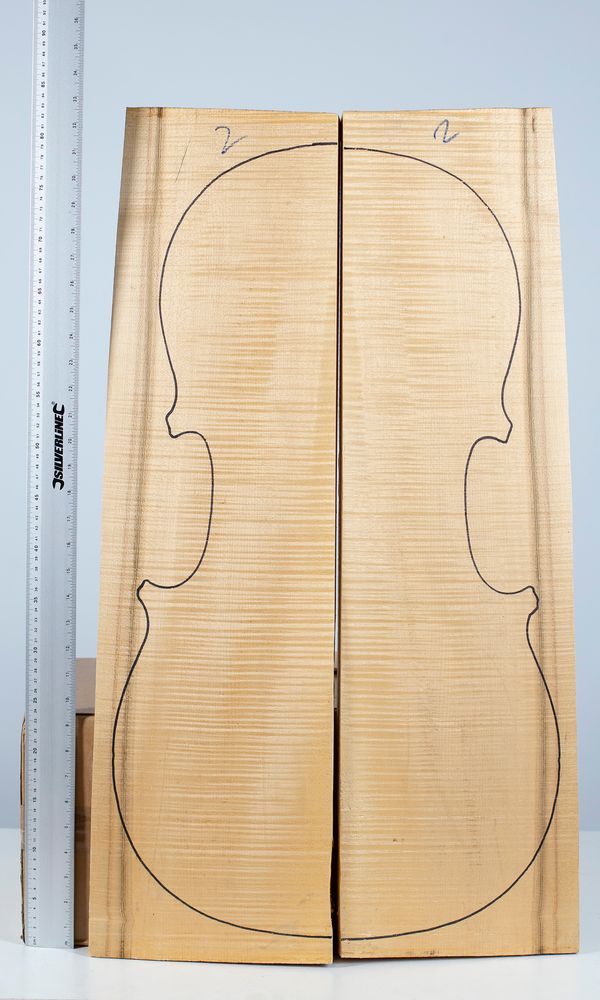A cello back, maple