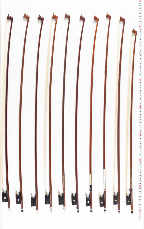 Approximately eleven violin bows, varying lengths