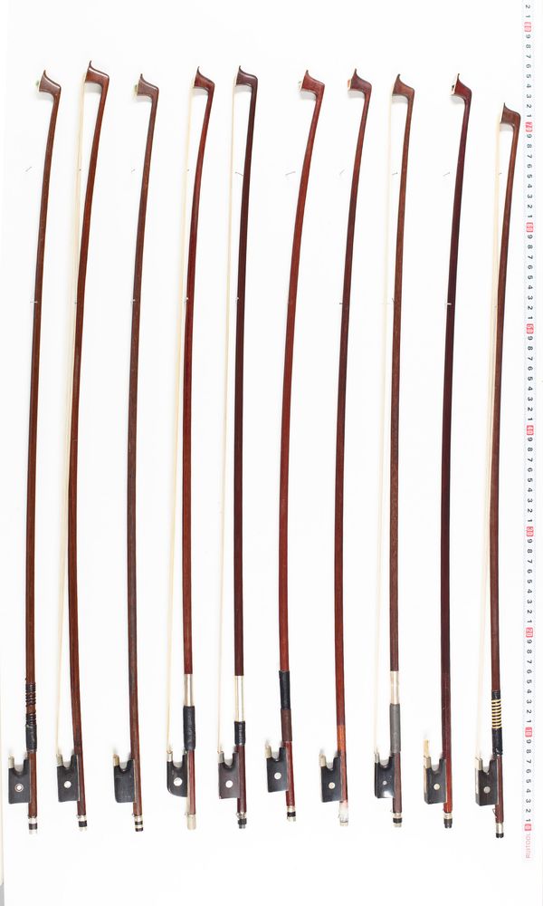 Approximately eleven violin bows, varying lengths