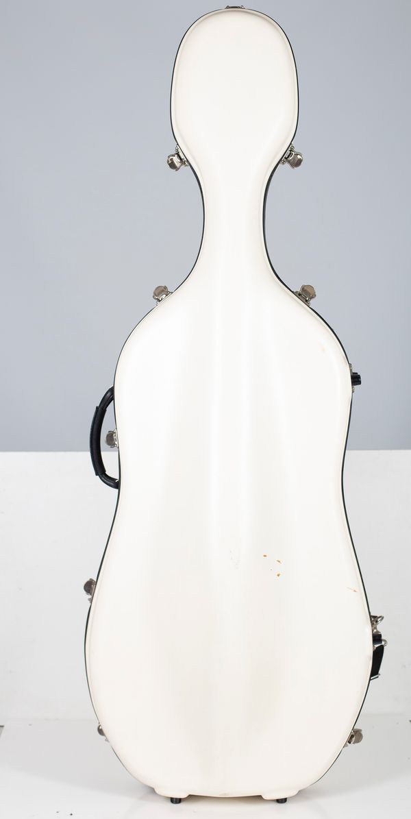 A cello case,  unbranded