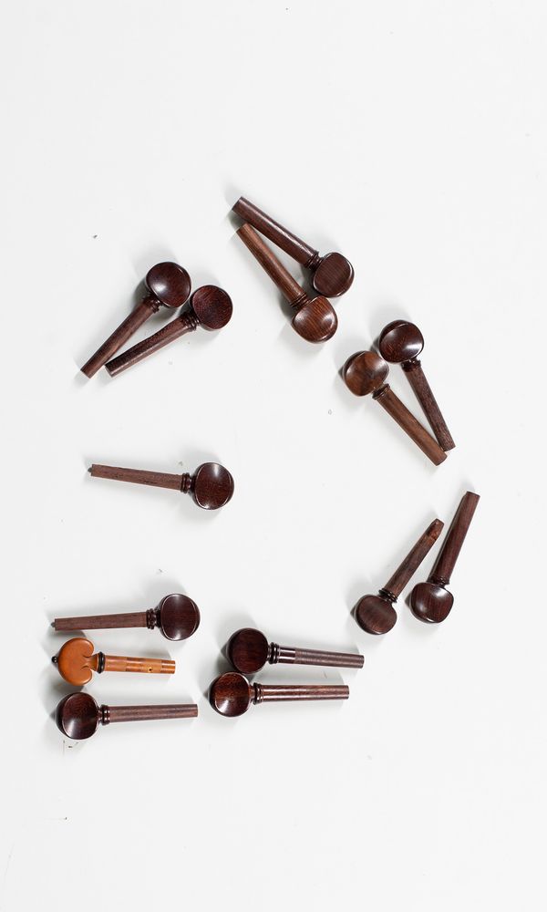 Fourteen violin pegs