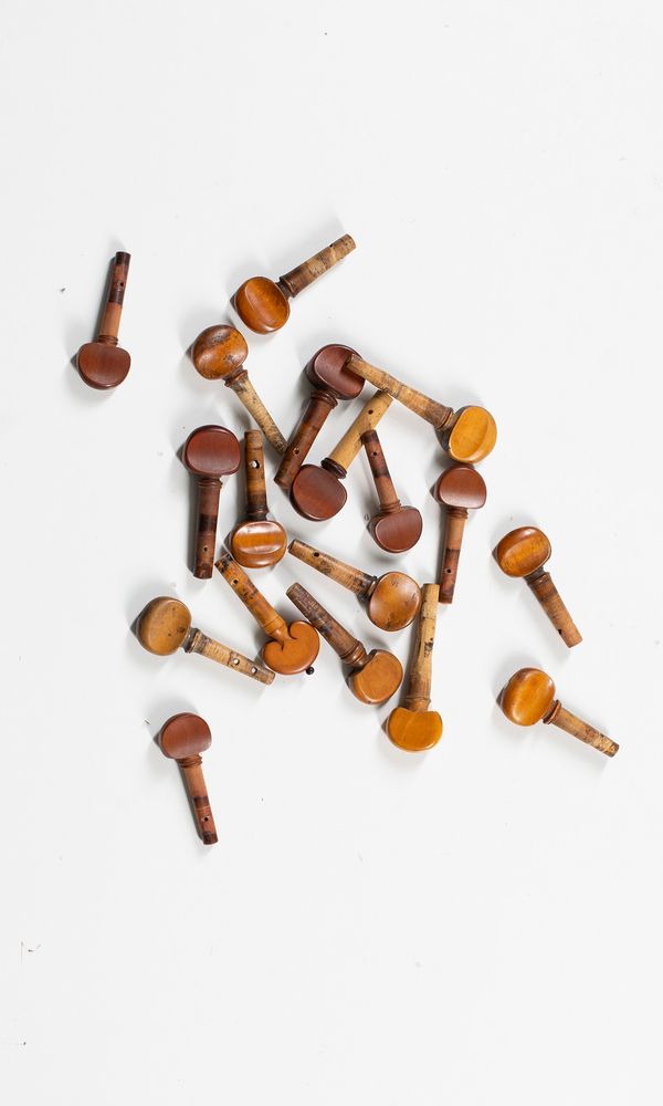 A mixed selection of eighteen pegs, varying sizes