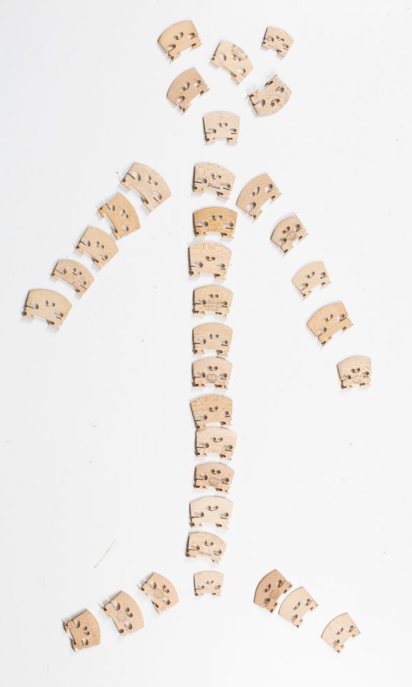 Thirty four fractional bridges, varying sizes