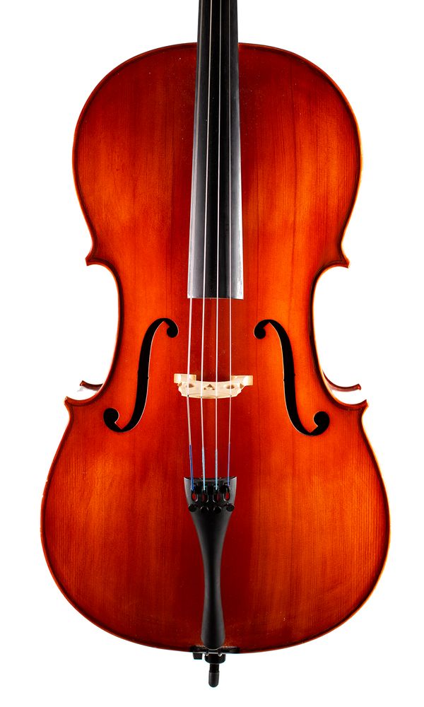 A cello, labelled Hidersine Vivinte