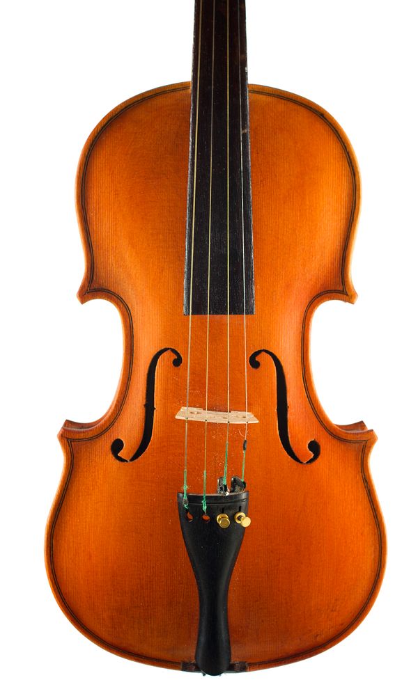 A violin labelled M. Salustri