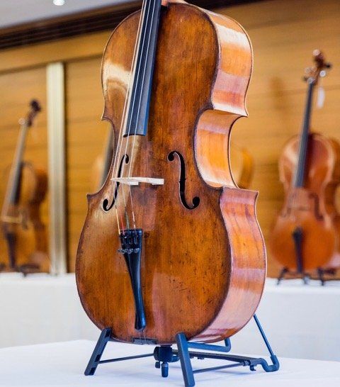 Amati Specialist - 28th October
