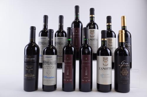 12 BOTTLES BRAZILIAN RED WINE
