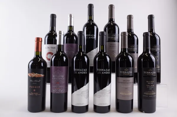 12 BOTTLES ARGENTINIAN RED WINE