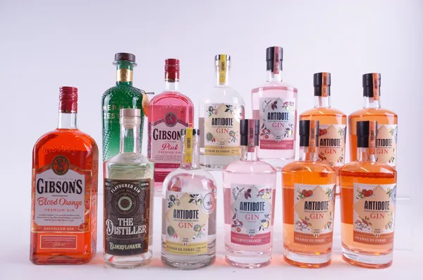 12 BOTTLES FLAVOURED GIN