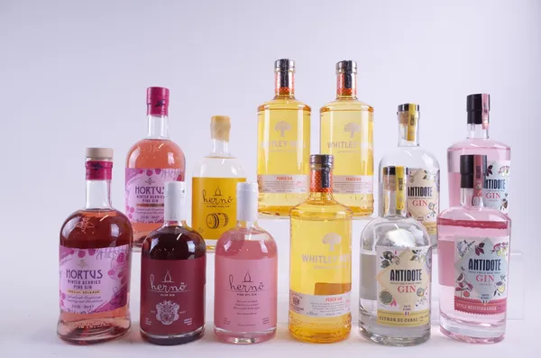 12 BOTTLES FLAVOURED GIN