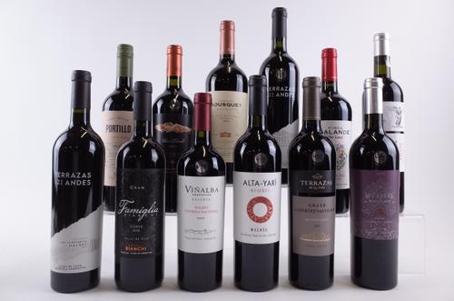 12 BOTTLES ARGENTINIAN RED WINE
