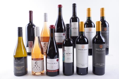 NINE BOTTLES CANADIAN, NEW ZEALAND AND MEXICAN RED, TWO ROSÉ AND ONE WHITE WINE