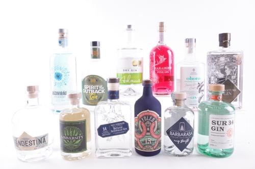 TWELVE BOTTLES GIN