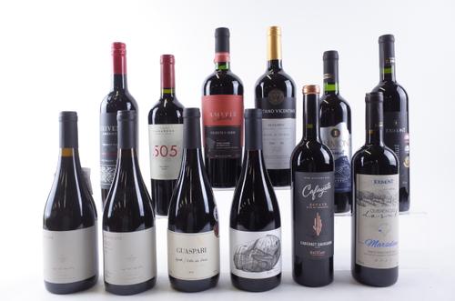 TWELVE BOTTLES BRAZILIAN AND ARGENTINIAN RED WINE