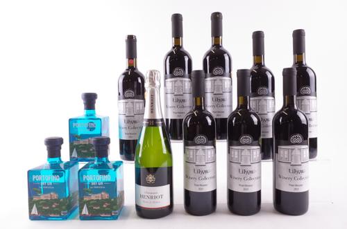 EIGHT BOTTLES RED WINE, ONE CHAMPAGNE AND THREE GIN