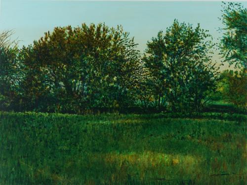 MICHAEL DUBINA (AMERICAN, B. 1962)