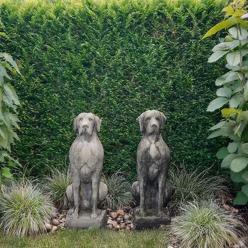 A PAIR OF RECONSTITUTED STONE FIGURES OF SEATED HOUNDS (2)