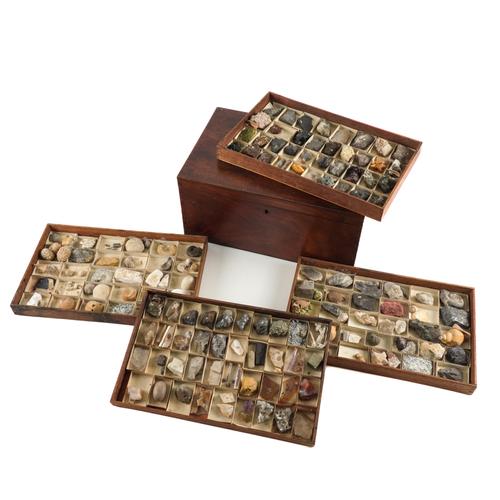 ARRANGED BY JAMES TENNANT: A VICTORIAN MAHOGANY SPECIMEN MINERAL, SHELL AND FOSSIL TABLE CABINET