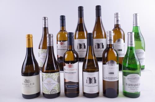 TEN BOTTLES SPANISH AND TWO INDIAN WHITE WINES