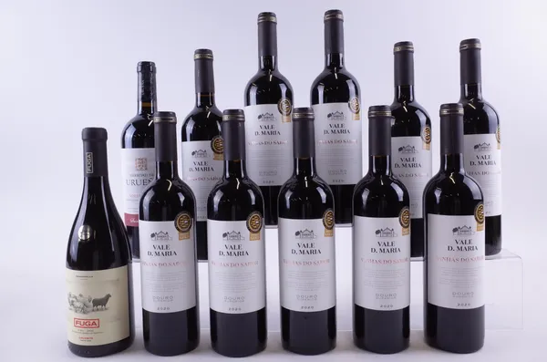 ELEVEN BOTTLES PORTUGUESE AND ONE SPANISH RED WINE