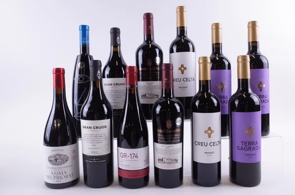 TWELVE BOTTLES SPANISH RED WINE