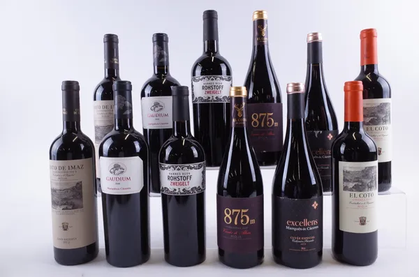 TEN BOTTLES SPANISH AND TWO AUSTRIAN RED WINE