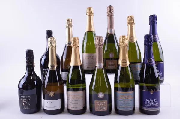 TWELVE BOTTLES SPANISH AND PORTUGUESE SPARKLING WINE