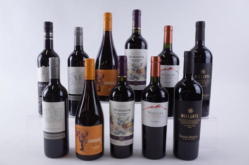 ELEVEN BOTTLES CHILEAN AND ARGENTINIAN RED WINE