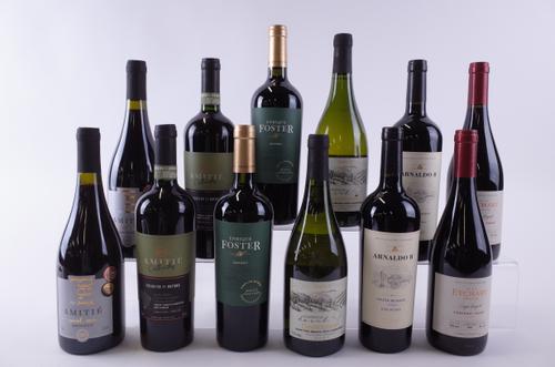 TEN BOTTLES ARGENTINIAN AND BRAZILIAN RED AND TWO WHITE WINE