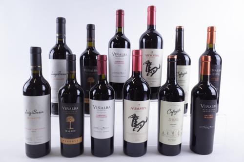 TWELVE BOTTLES ARGENTINIAN AND CHILEAN RED WINE