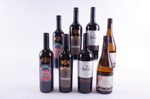 SIX BOTTLES CHILEAN RED AND TWO WHITE WINE