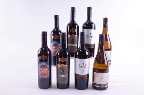 SIX BOTTLES CHILEAN RED AND TWO WHITE WINE