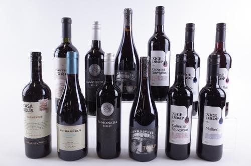 TWELVE BOTTLES CHILEAN AND ARGENTINIAN RED WINE
