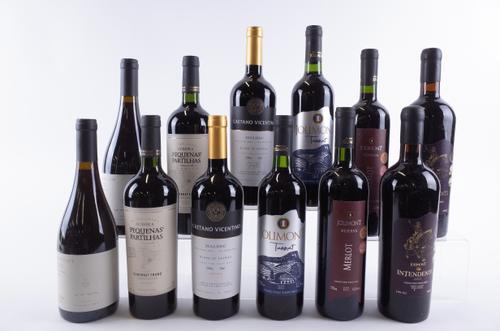 TWELVE BOTTLES BRAZILIAN RED WINE