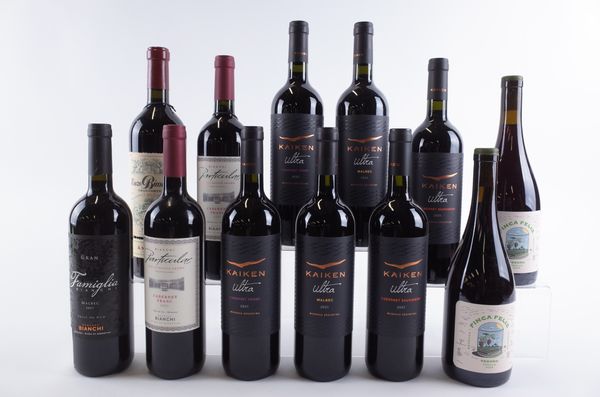 TWELVE BOTTLES ARGENTINIAN RED WINE
