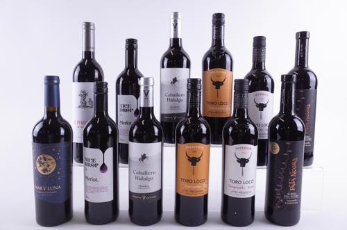 TWELVE BOTTLES SPANISH RED WINE