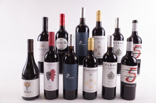 TWELVE BOTTLES SPANISH RED WINE