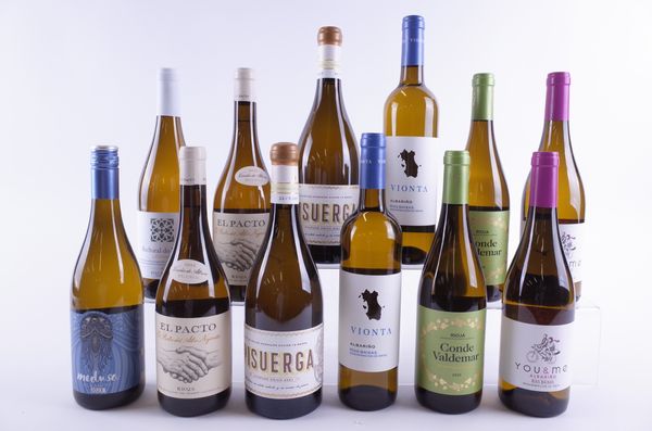 TWELVE BOTTLES SPANISH WHITE WINE