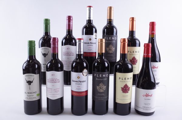 TWELVE BOTTLES SPANISH RED WINE