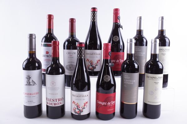 TWELVE BOTTLES SPANISH RED WINE