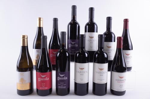 TEN BOTTLES LEBANESE AND ISRAELI RED AND TWO WHITE WINE