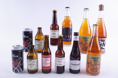 TEN BOTTLES AND TWO CANS CIDER